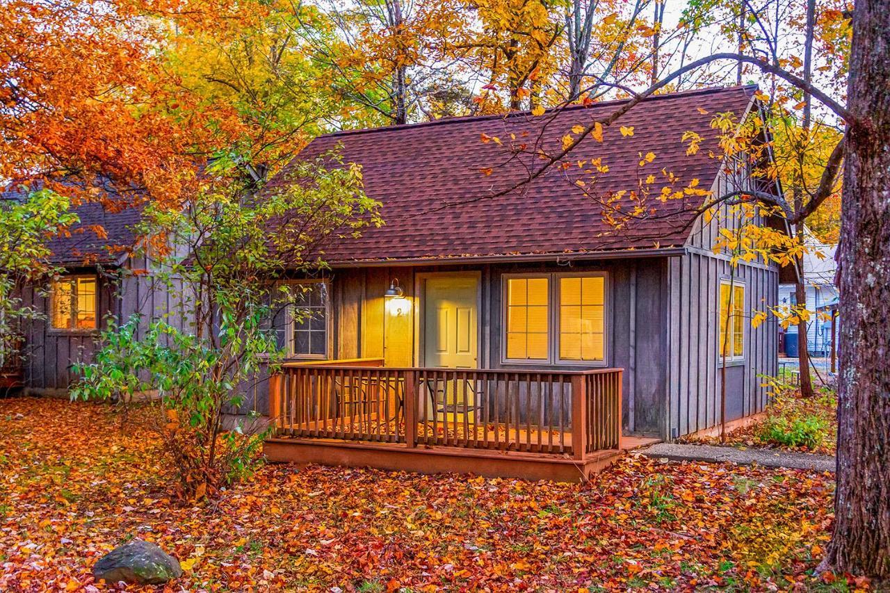 Love Ridge Mountain Lodging Lyndhurst Exteriér fotografie