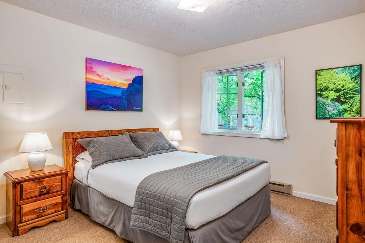 Love Ridge Mountain Lodging Lyndhurst Exteriér fotografie