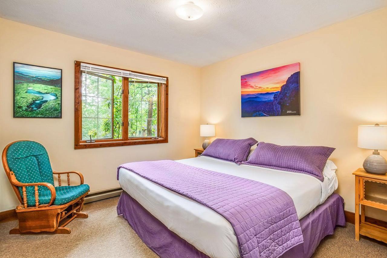 Love Ridge Mountain Lodging Lyndhurst Exteriér fotografie