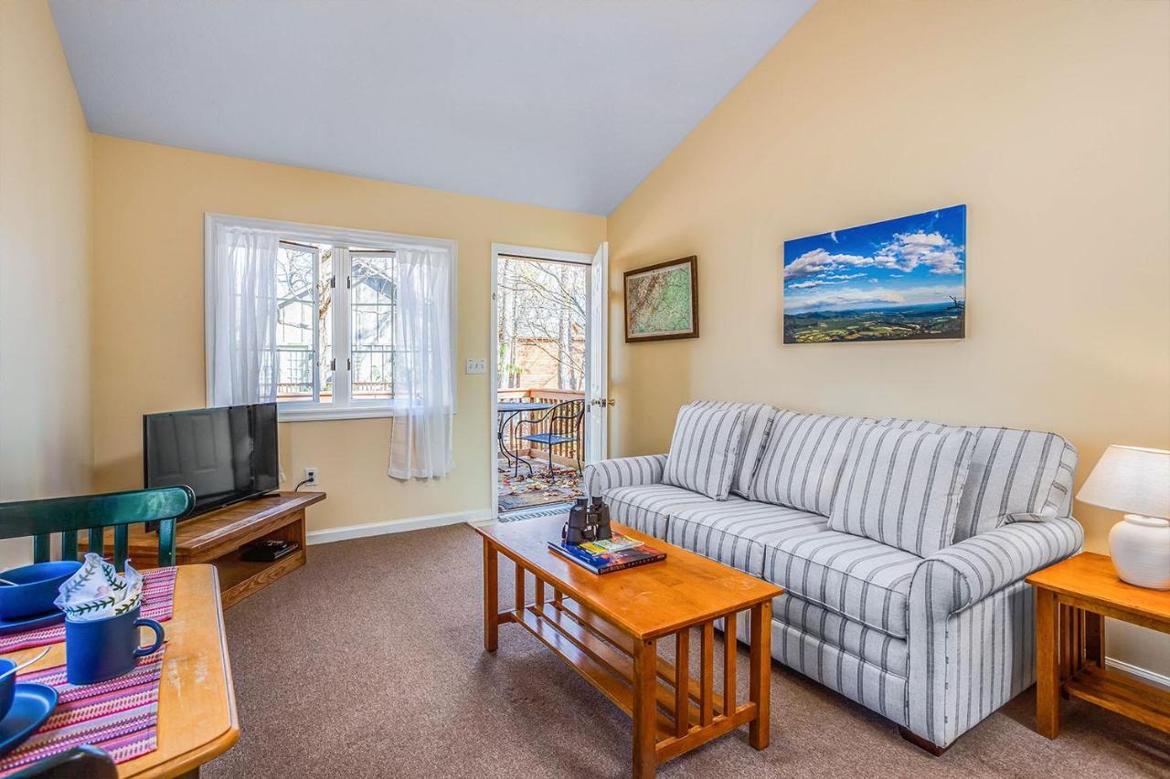Love Ridge Mountain Lodging Lyndhurst Exteriér fotografie