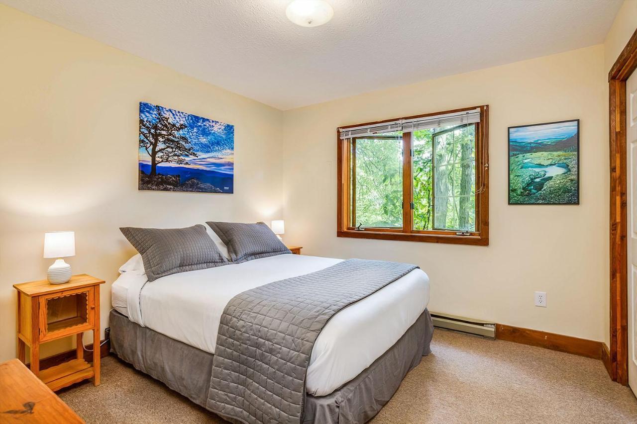 Love Ridge Mountain Lodging Lyndhurst Exteriér fotografie