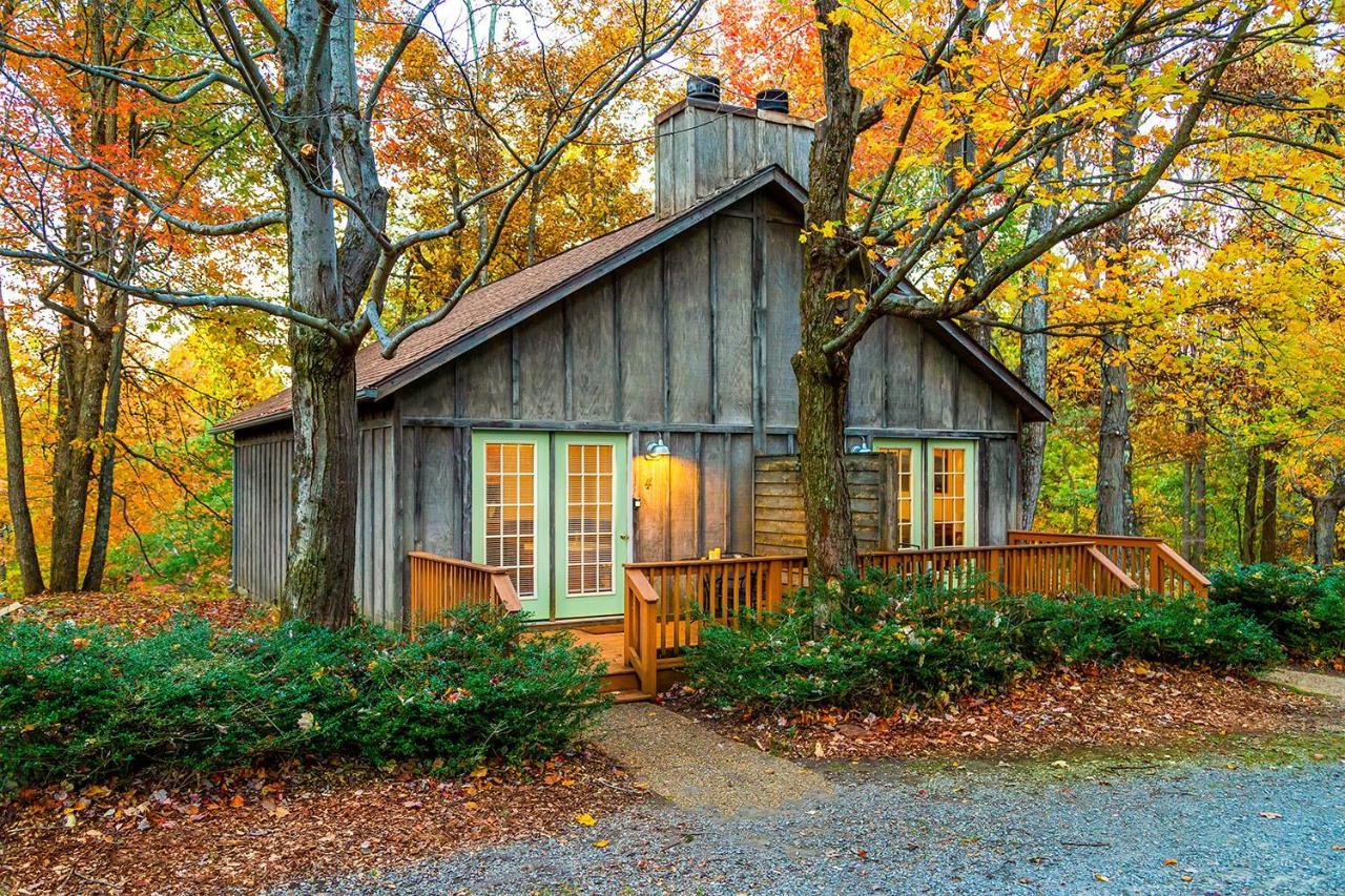 Love Ridge Mountain Lodging Lyndhurst Exteriér fotografie