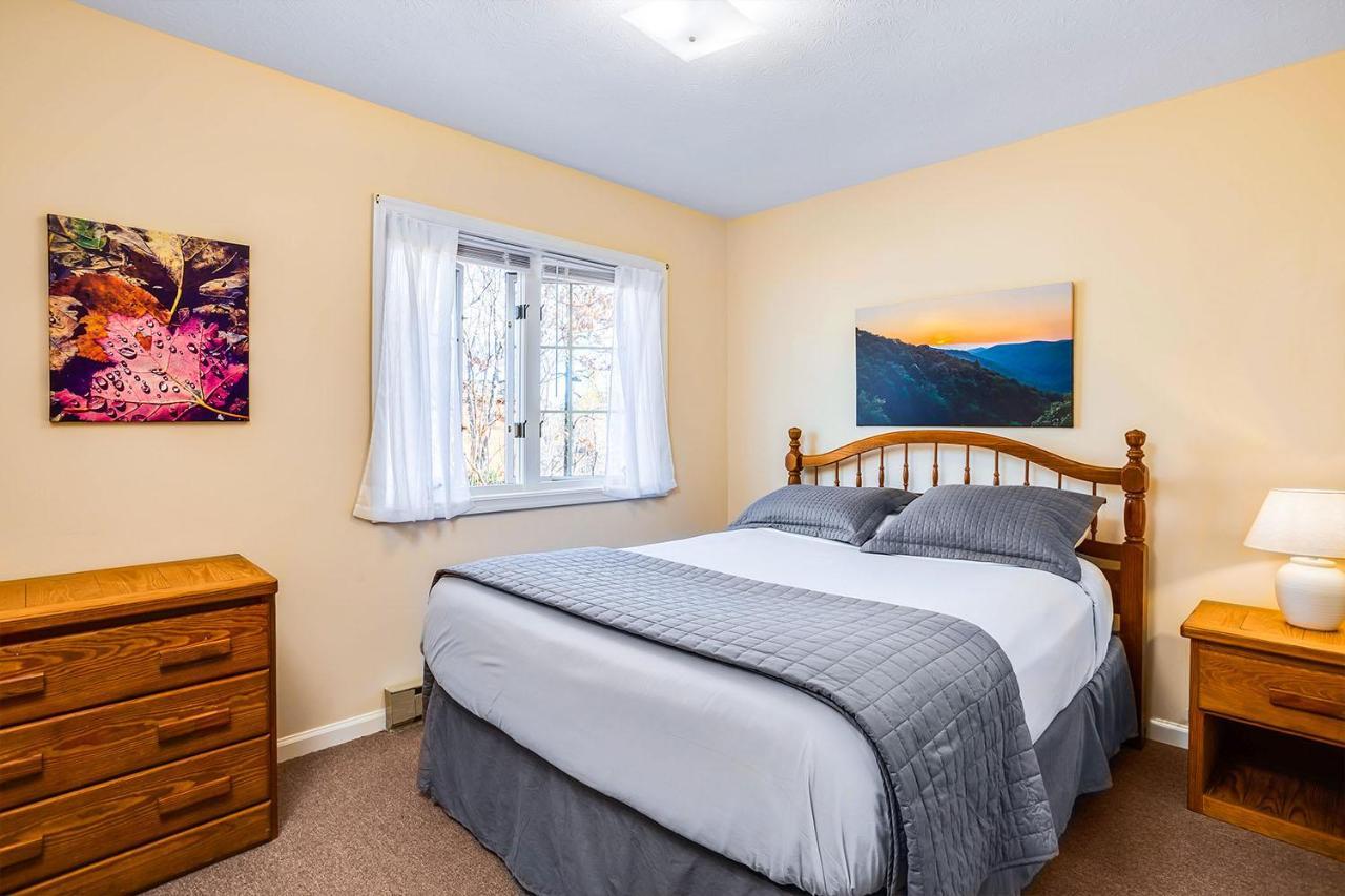 Love Ridge Mountain Lodging Lyndhurst Exteriér fotografie
