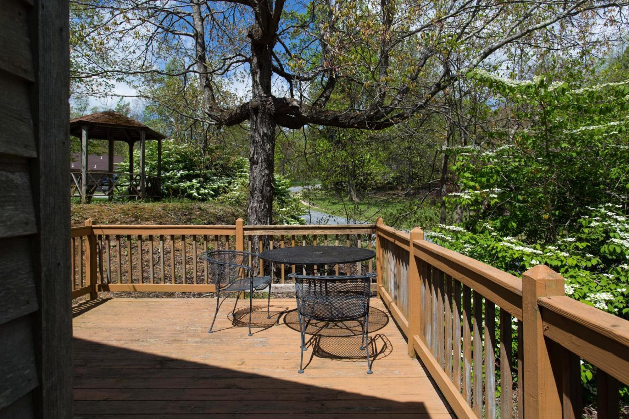 Love Ridge Mountain Lodging Lyndhurst Exteriér fotografie